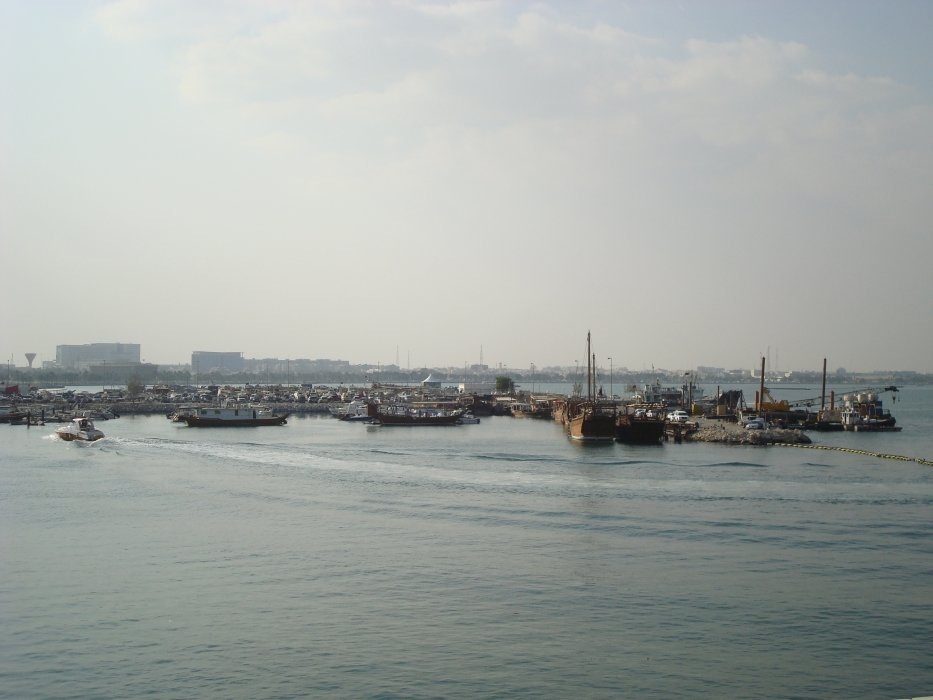 qatarnov0911.jpg